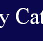 McCarthy Catholic College Tamworth - Education NSW