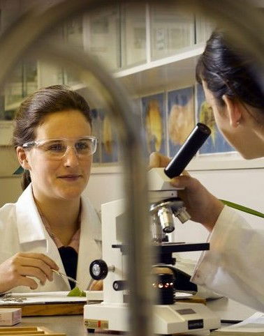 Siena College - Education NSW 2