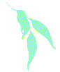 Horticultural Training Pty Ltd - Education NSW 0