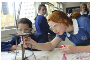 Monte Sant' Angelo Mercy College - Education NSW 5