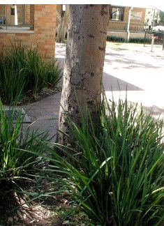 Northside Montessori School - Education NSW 1