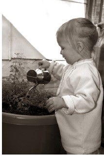 Northside Montessori School - Education NSW 3