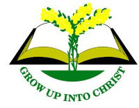 Regents Park NSW Schools and Learning Education NSW Education NSW