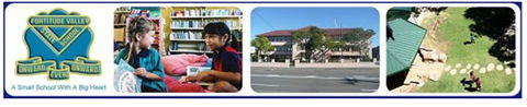 Fortitude Valley State School - Education NSW 0