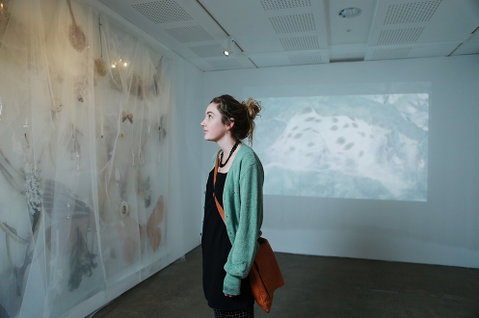 Unsw Art & Design - Education NSW 4