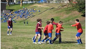 Waverley College - Education NSW 5