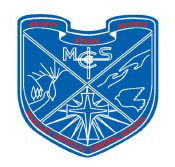 Mcauley Catholic Central School - Education NSW
