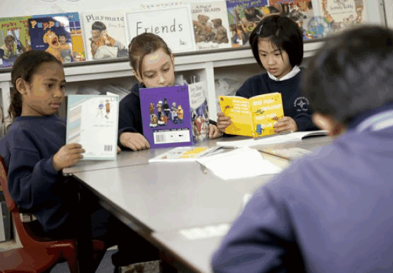 Albion VIC Education NSW