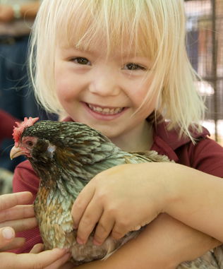 Genesis Christian College - Education NSW 1