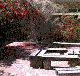 Cecil Andrews Senior High School - Education NSW