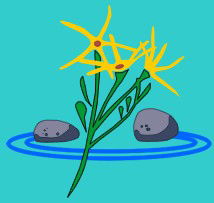 Rockingham Lakes Primary School - Education NSW 0