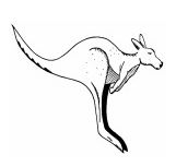 Kangarilla Primary School - Education NSW
