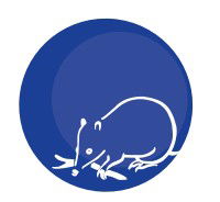 Mylor Primary School - Education NSW 0