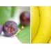 Beck Health  Nutrition - Education NSW