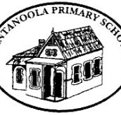 Tantanoola Primary School - Education NSW
