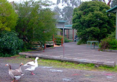 Village School Inc - Education NSW 1