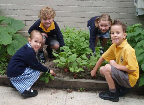 St Raphael's Catholic Primary School - Education NSW 1