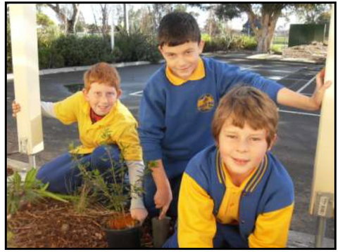 Avondale Primary School - Education NSW 1