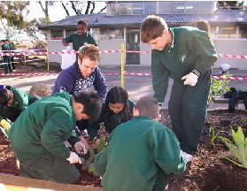 St Albans North Primary School - Education NSW 2