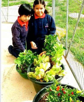 Stella Maris - Education NSW 3