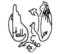 Halls Gap Primary School - Education NSW 0