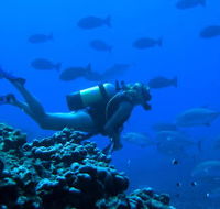 Aquatic Adventures Courses - Education NSW