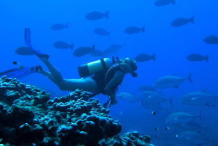 Aquatic Adventures Courses - Education NSW 0