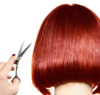 The Angel Hair  Beauty Institute- Hair  Beauty School Ballarat - Education NSW