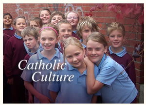 St Alipius Parish Primary School - Education NSW 0