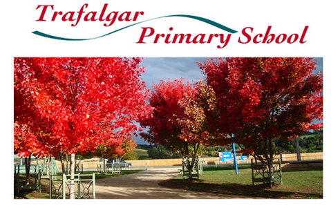 Trafalgar Primary School  - Education NSW 0