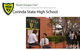 Corinda State High School - thumb 0