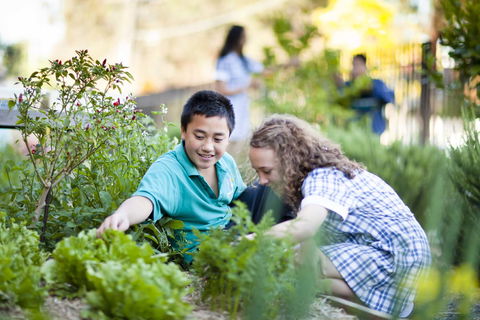 Brunswick Secondary College - Education NSW 2