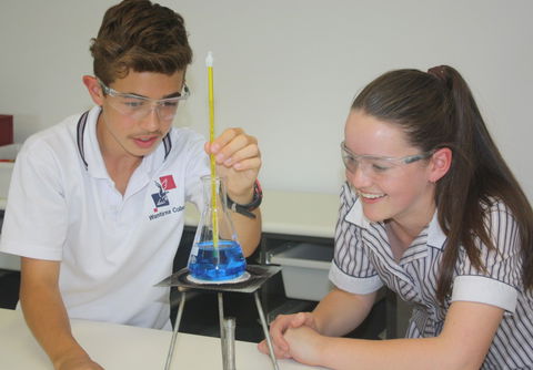 Wantirna College - Education NSW 1