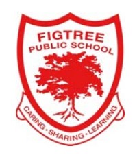 Figtree Public School - Education NSW 0
