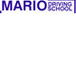 Mario Driving School - Education NSW