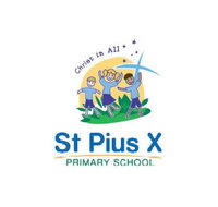 St Pius X School Salisbury - Education NSW