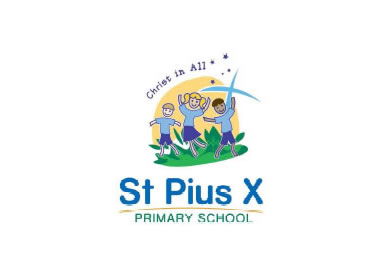 St Pius X School Salisbury - Education NSW 0