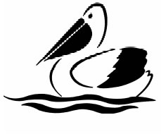 Tewantin QLD Education NSW