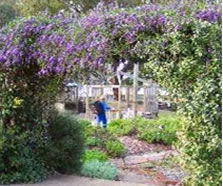 Rosalie Primary School - Education NSW 1