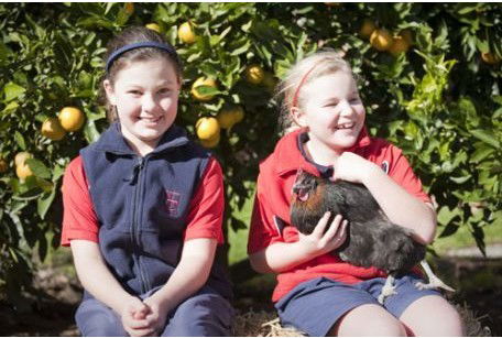 Northholm Grammar School - Education NSW 2