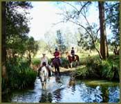 Bellrowan Valley Horse Riding - Education NSW 2