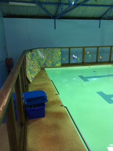 Shane Dowel's Swim School - Education NSW 2