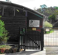 Treetops Montessori Primary School - Education NSW