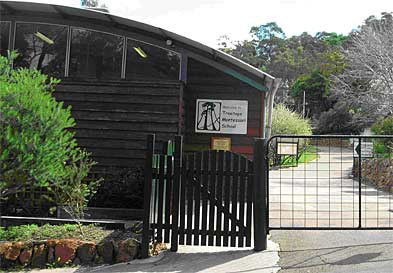 Treetops Montessori Primary School - Education NSW 0