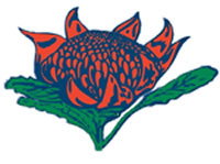 Hurstville South Public School Hurstville