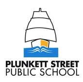 Plunkett Street Public School Woolloomooloo