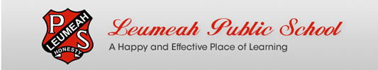 Leumeah NSW Education NSW