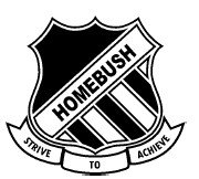 Homebush Public School - Education NSW 0
