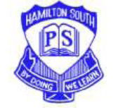 Hamilton South Public School - Education NSW