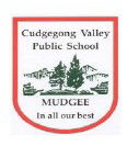 Mudgee NSW Education NSW